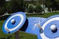ROUE POUR BRAS