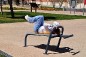 Step fitness