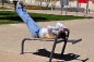 Step fitness