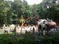 Structure de jeux "la vache"