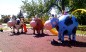 Structure de jeux "la vache"
