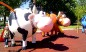 Structure de jeux "la vache"