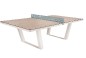 Table ping-pong en matériaux composites