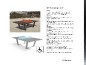 Table ping-pong en matériaux composites