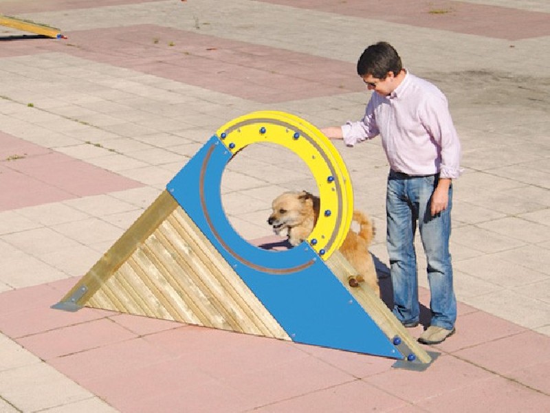 Roue circuit éducatif pour chiens