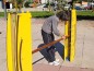 Saut en hauteur pour chiens