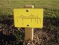 Affiche individuelle
