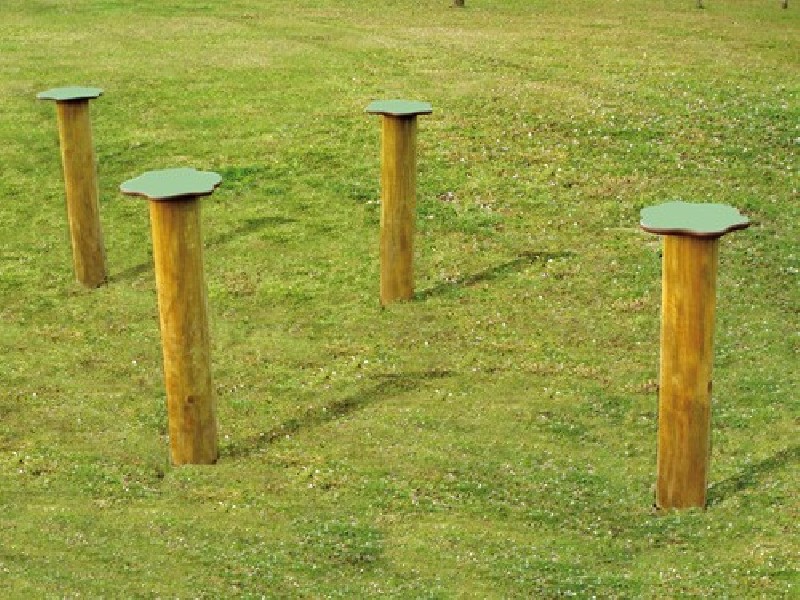 Champignons de saut