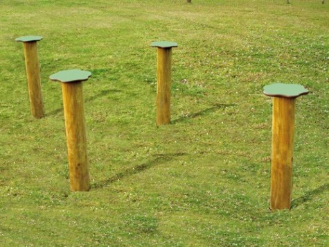 Champignons de saut