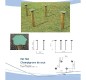 Champignons de saut