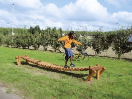 PARCOURS DE JANE