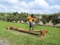PARCOURS DE JANE