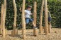 PARCOURS D'EQUILIBRE DES PETITS VIKINGS