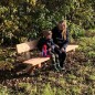 Banc public "Peter" en robinier - Longueur 2 mètres