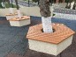 Banquette tour d'arbre