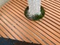 Banquette tour d'arbre