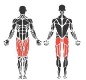 Appareil de musculation pour développer les jambes - voir photo