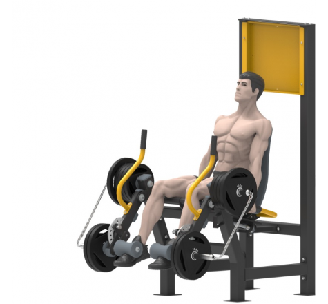 Machine de plein air pour Leg extension