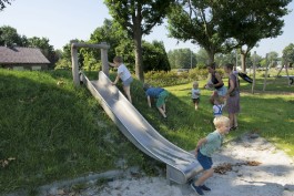 TOBOGGAN BUTTE ET PLATE-FORME EN ROBINIER