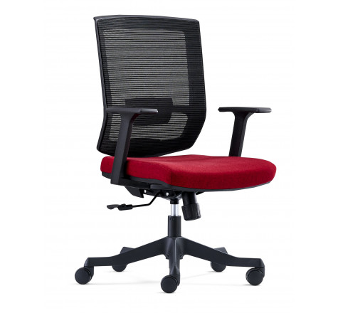 Fauteuil classique, élégant et confortable, assise ergonomique