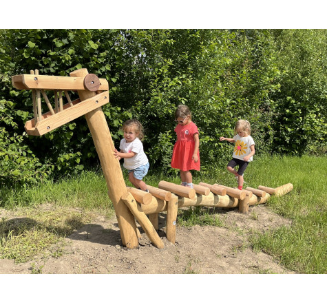 Jeux en robinier