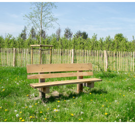 Banc en robinier