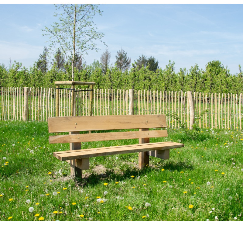 Banc en robinier
