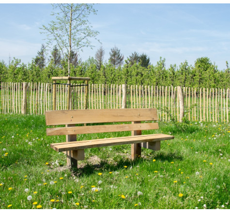 Banc en robinier