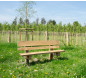 Banc en robinier