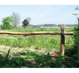 Barrière en bois de robinier