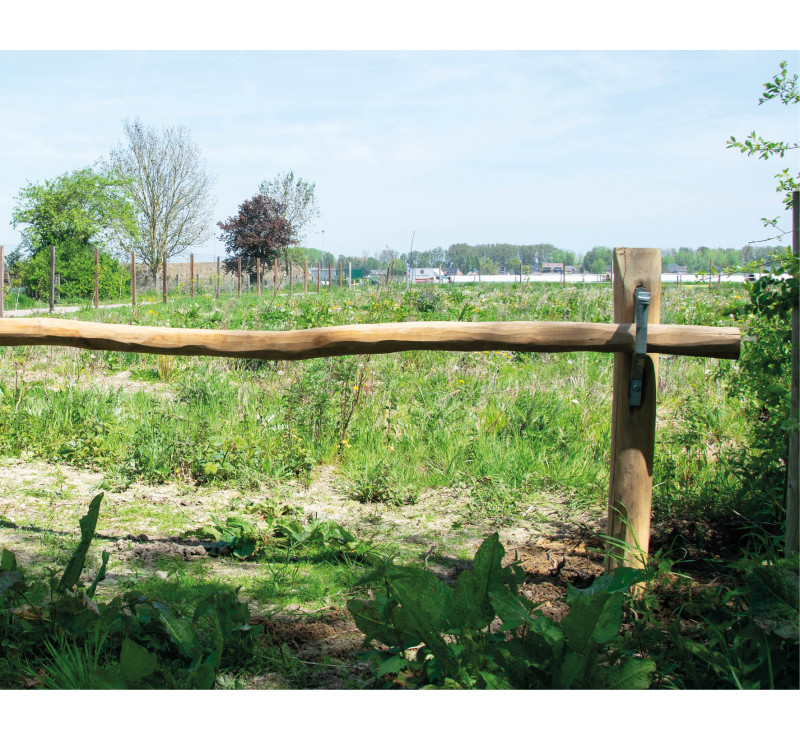 Barrière en bois de robinier