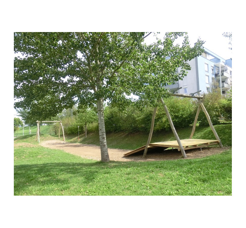 Téléphérique en robinier