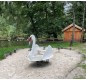 jeu-exterieur-cygne
