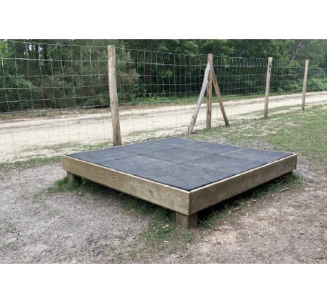 Plateau d'agilité canine