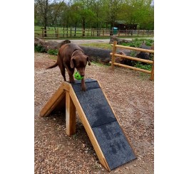 PALISSADE PARCOURS CANIN