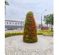 🌸 Pyramide de fleurs Hauteur 3,40 m | Jardinière urbaine en acier galvanisé