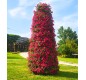🌸 Pyramide de fleurs Hauteur 3,40 m | Jardinière urbaine en acier galvanisé