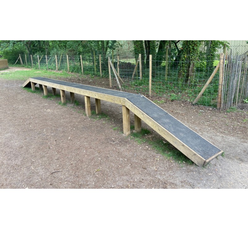 Passerelle parcours canin