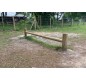 Module saut en hauteur canin