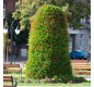 jardinière urbaine en acier galvanisé pour les parcs publics