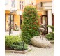 🌸 Pyramide de fleurs Hauteur 2,40 m | Jardinière urbaine acier galvanisé