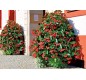 🌸 Pyramide de fleurs mural Hauteur 2,40 m | Jardinière murale collectivités