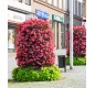 tour-fleurs-jardin-public