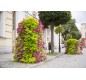 tour-fleurs-collectivite-territoriale