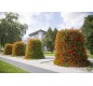 tour-fleurs-amenagement-urbain