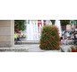 🌸 Pyramide de fleurs Hauteur 2 m | Jardinière urbaine acier galvanisé