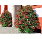 🌸 Pyramide de fleurs mural Hauteur 2 m | Jardinière murale collectivités