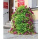🌸 Jardinière verticale murale d'angle | Tour de fleurs collectivités