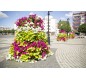 Jardinière pour parcs publics