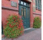 🌸 Jardinière verticale mural 1,20 m | Tour de fleurs collectivités
